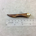 SALE 3" Warm Brown Curved Back Tusk/Claw Shaped Natural Ox Bone Pendant with New Gold Plated Cap Design - Measuring 18mm x 75mm 