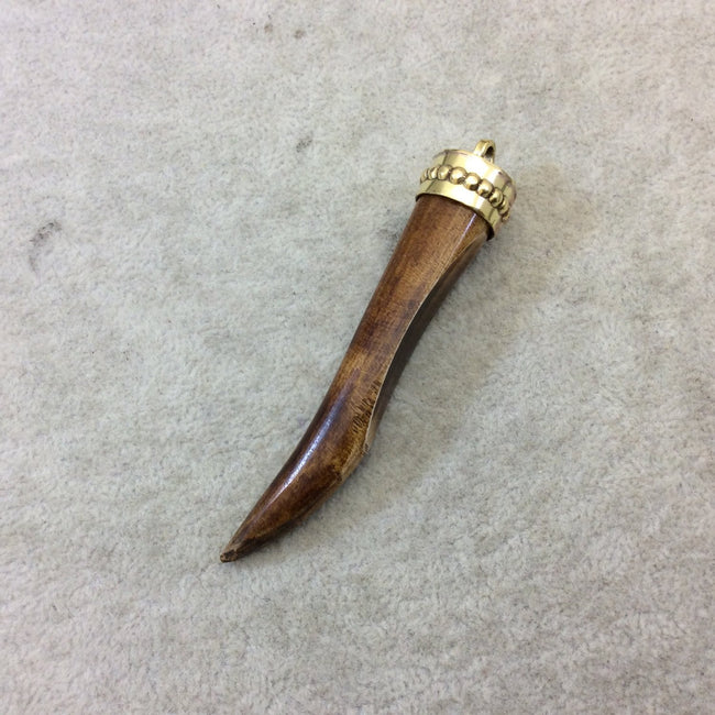 SALE 3" Warm Brown Curved Back Tusk/Claw Shaped Natural Ox Bone Pendant with New Gold Plated Cap Design - Measuring 18mm x 75mm 