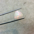 Natural Ethiopian Opal Smooth Trillion Shaped Flat Back Cabochon 'DD' - Measuring 12mm x 12mm, 5mm Dome Height - High Quality Gemstone Cab