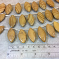 Natural Wood Jasper Graduated Smooth Marquise Shaped Beads - 17" Strand (Approx. 22 Beads) - Measuring 12-17mm x 25-36mm, Approximately