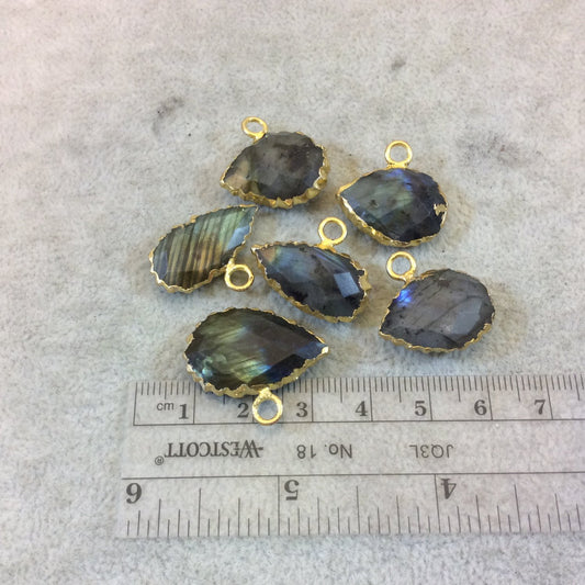 Gold Electroplated Natural Labradorite Sideways Serrated Tear Pendant - Measuring 22mm x 13mm, Approx. - Sold Individually, Chosen Randomly