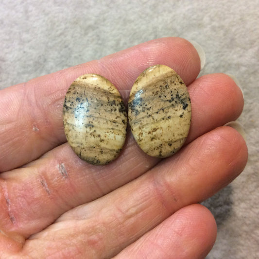 OOAK Matching Pair of Natural Picture Jasper Oval Shaped Flat Back Cabochons - Measuring 16mm x 23mm, 4mm Dome Height - Quality Gemstone