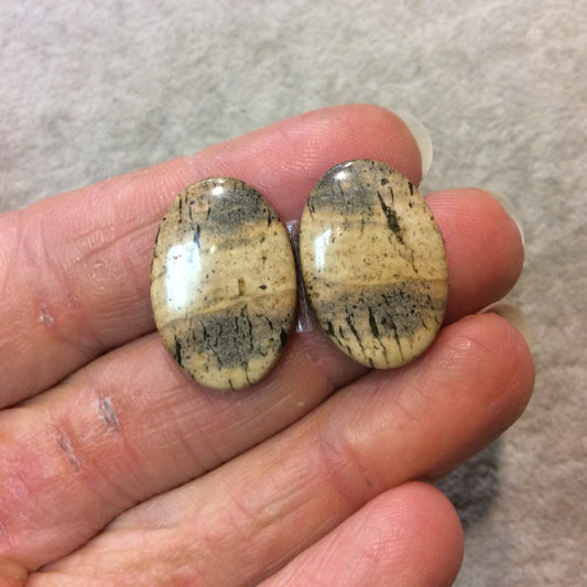 OOAK Matching Pair of Natural Picture Jasper Oval Shaped Flat Back Cabochons - Measuring 16mm x 23mm, 4mm Dome Height - Quality Gemstone