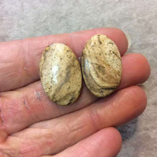OOAK Matching Pair of Natural Picture Jasper Oval Shaped Flat Back Cabochons - Measuring 17mm x 26mm, 5mm Dome Height - Quality Gemstone