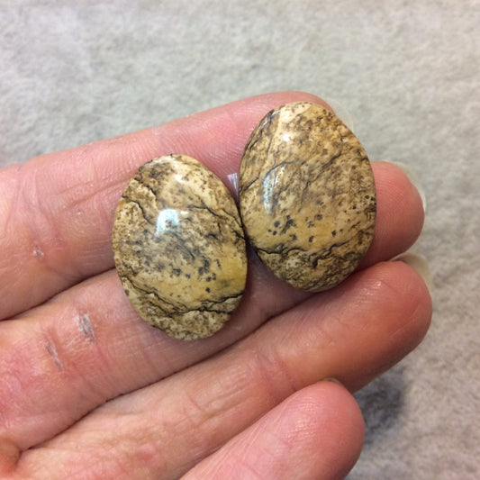 OOAK Matching Pair of Natural Picture Jasper Oval Shaped Flat Back Cabochons - Measuring 18mm x 25mm, 5mm Dome Height - Quality Gemstone