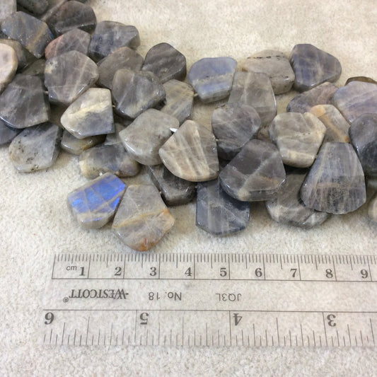 18mm Smooth Top-Drilled Natural Labradorite Freeform Slab Shaped Beads with 1mm Holes - 15.5" Strand (Approx. 37 Beads) - Quality Gemstone
