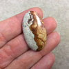 Natural American Picture Jasper Oblong Oval Shaped Flat Back Cabochon - Measuring 21mm x 37mm, 5mm Dome Height - High Quality Gemstone