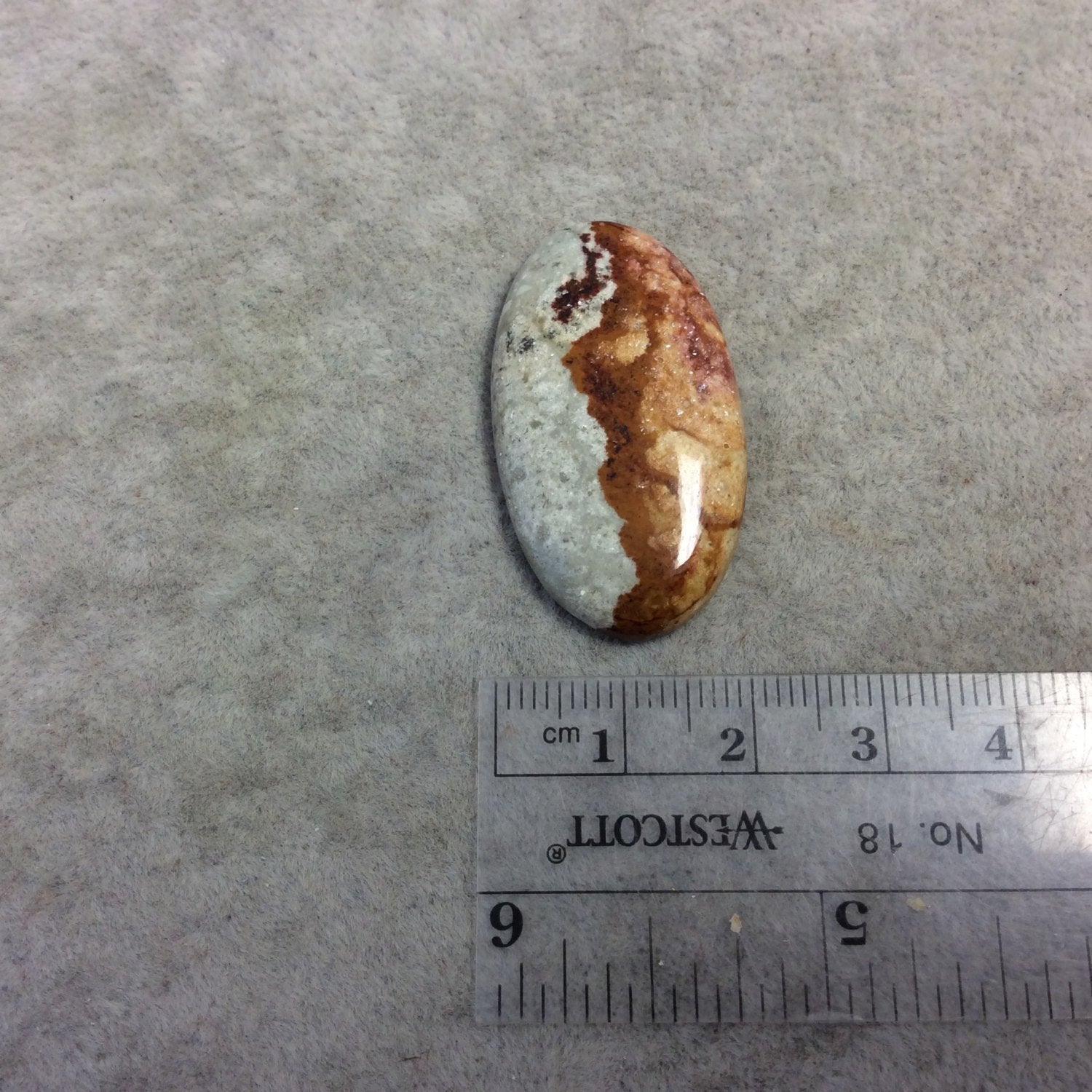 Natural American Picture Jasper Oblong Oval Shaped Flat Back Cabochon - Measuring 21mm x 37mm, 5mm Dome Height - High Quality Gemstone