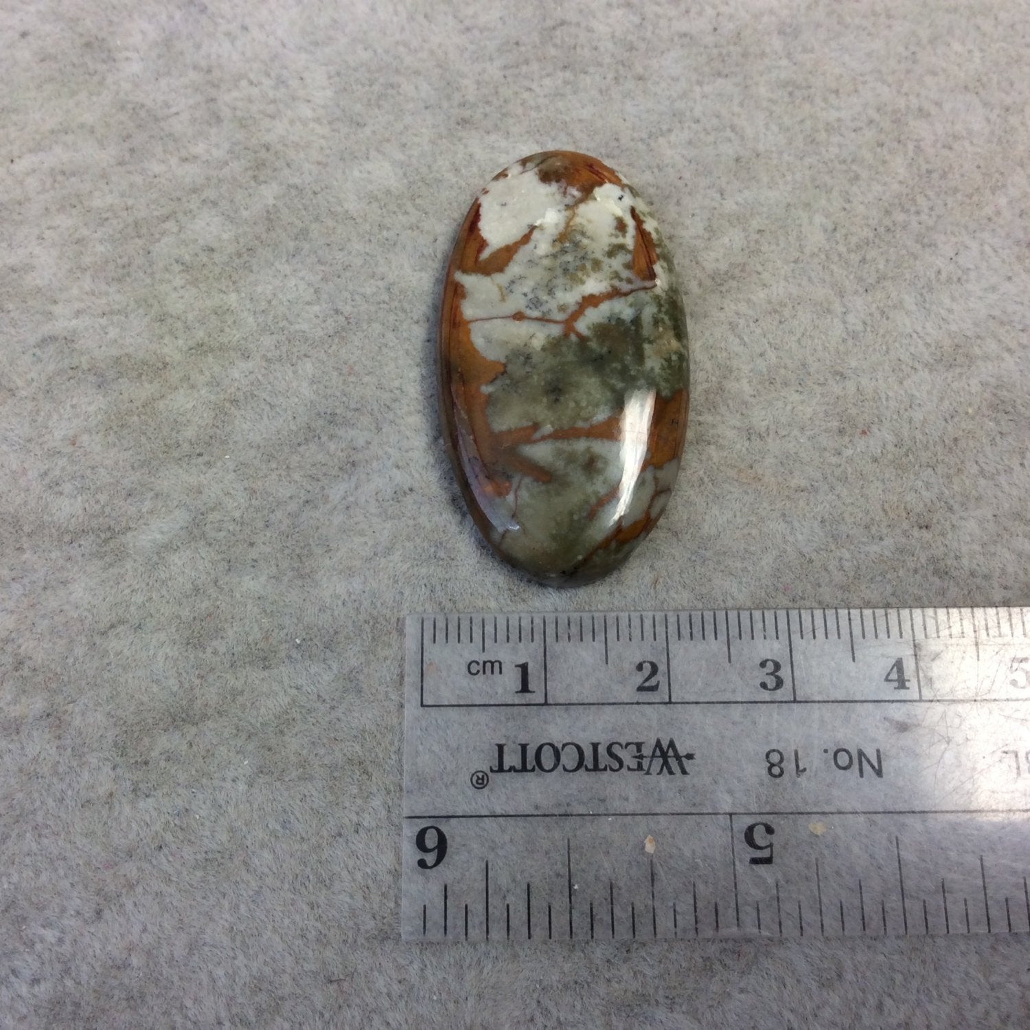Natural American Picture Jasper Oblong Oval Shaped Flat Back Cabochon - Measuring 22mm x 41mm, 5mm Dome Height - High Quality Gemstone
