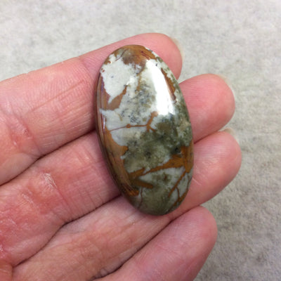 Natural American Picture Jasper Oblong Oval Shaped Flat Back Cabochon - Measuring 22mm x 41mm, 5mm Dome Height - High Quality Gemstone