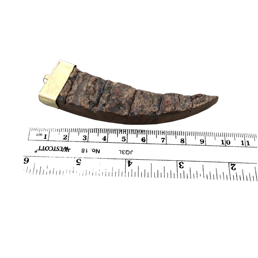 3.5" Mixed Brown Flat Tusk/Claw Shaped Natural Bark Overlay Wooden Pendant with Gold Cap - Measuring 24mm x 90mm, Approx. - (TR055-BK)