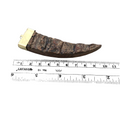 3.5" Mixed Brown Flat Tusk/Claw Shaped Natural Bark Overlay Wooden Pendant with Gold Cap - Measuring 24mm x 90mm, Approx. - (TR055-BK)