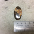 OOAK Oval Shaped Australian Boulder Opal Flat Back Cabochon - Measuring 21mm x 39mm, 6mm Dome Height - Natural High Quality Gemstone