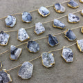 Dendritic Opal Slab Beads with Gold Electroplated Edge