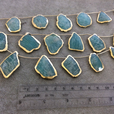 Gold Electroplated Smooth Freeform Slab Shaped Natural Amazonite Top-Drilled Beads - 9.5" Strand (9 Beads) - Measures 20mm x 25mm, Approx.