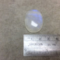 OOAK Single AAA Oval Shaped Iridescent Blue Moonstone Flat Back Cabochon - Measuring 24mm x 31mm, 7mm Dome Height - Gemstone Cab