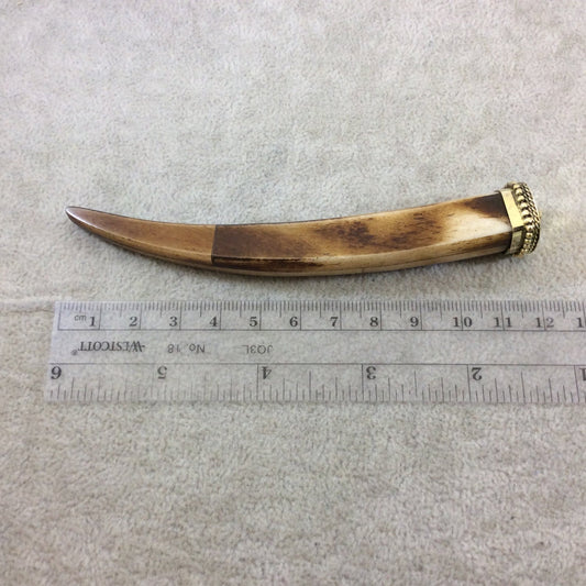 4.5" Mixed Brown Square Tusk/Claw Shaped Natural Ox Bone Focal Pendant with Dotted Gold Cap - Measuring 18mm x 105mm - (TR048-BR)