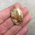 Natural American Picture Jasper Oblong Oval Shaped Flat Back Cabochon - Measuring 21mm x 35mm, 5mm Dome Height - High Quality Gemstone