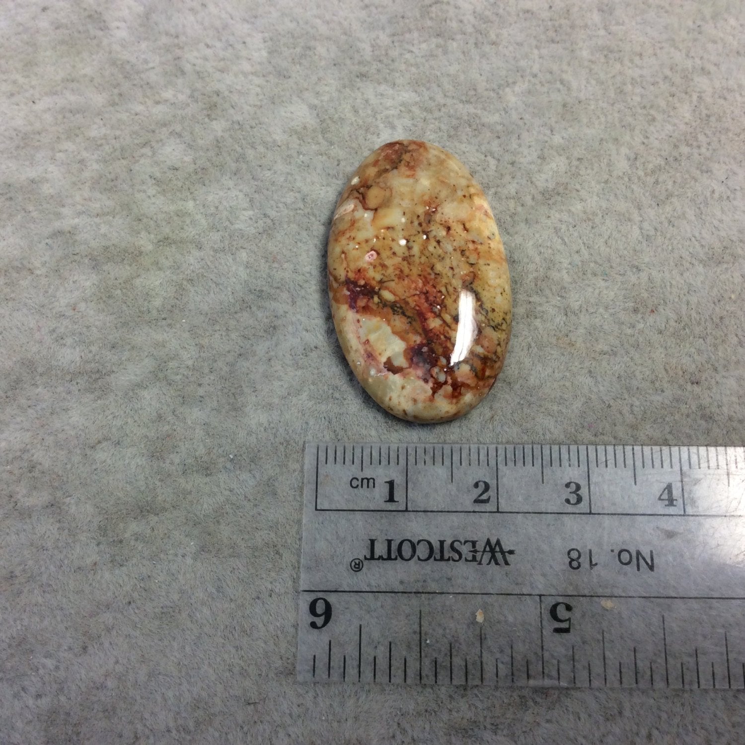 Natural American Picture Jasper Oblong Oval Shaped Flat Back Cabochon - Measuring 21mm x 35mm, 5mm Dome Height - High Quality Gemstone