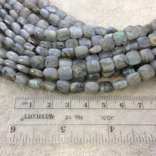 8mm Faceted Natural Iridescent Labradorite Flat Square Shaped Beads with 1mm Holes - 15" Strand (Approx. 50 Beads) - High Quality Gemstone