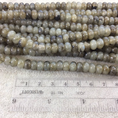 5mm x 8mm Glossy Finish Natural Grade A Labradorite Rondelle Shaped Beads with 2mm Holes - 8" Strand (Approx. 39 Beads) - LARGE HOLE BEADS
