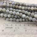 8mm Glossy Finish Natural Labradorite Round/Ball Shaped Beads with 1.5mm Holes - 8" Strand (Approx. 25 Beads) - LARGE HOLE BEADS