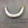 5" Extra Large White/Ivory Double Ended U-Shaped Crescent Shaped Natural Ox Bone Focal Pendant - Measuring 130mm x 85mm