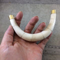 5" Extra Large White/Ivory Double Ended U-Shaped Crescent Shaped Natural Ox Bone Focal Pendant - Measuring 130mm x 85mm