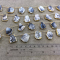 Dendritic Opal Slab Beads with Gold Electroplated Edge