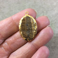 OOAK Gold Electroplated Natural Raw Metallic Tiger's Eye Vertical Oval Shaped Slab/Slice Pendant - Measuring 18mm x 25mm, Approximately