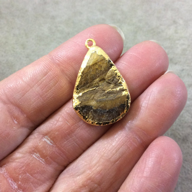 OOAK Gold Electroplated Natural Raw Metallic Tiger's Eye Teardrop/Pear Shaped Slab/Slice Pendant - Measuring 18mm x 25mm, Approximately