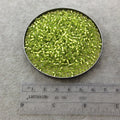 Size 8/0 Glossy Finish Silver Lined Chartreuse Genuine Miyuki Glass Seed Beads - Sold by 22 Gram Tubes (Approx 900 Beads per Tube) - (8-914)