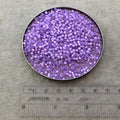 Size 8/0 Silver Lined Alabaster Lilac Purple Genuine Miyuki Glass Seed Beads - Sold by 22 Gram Tubes (Approx. 900 Beads per Tube) - (8-9574)