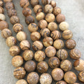 14mm Smooth Natural Picture Jasper Round/Ball Shaped Beads with 1mm Holes - Sold by 15.5&quot; Strands (Approx. 27 Beads) - Quality Gemstone