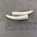 4" White/Ivory Mirrored Double Antler Tusk Shaped Natural Ox Bone Pendant with Four Suspension Rings - Measuring 104mm x 33mm - (TR4WHDMANT)