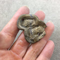 OOAK Metallic Gold Coated Freeform Oval Shaped Chalcedony Galaxy Druzy Dual Drilled Connector Slab Bead "T" - Measuring 33mm x 41mm, Approx.