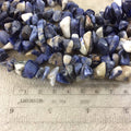 Natural Mixed Sodalite Chunky Nugget Shaped Beads with 1mm Holes - Sold by 16" Strands (Approx. 75-80 Beads) - Measuring 10-15mm Wide