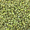 Size 8/0 Opaque Matte Picasso Chartreuse Genuine Miyuki Glass Seed Beads - Sold by 22 Gram Tubes (Approx. 900 Beads per Tube) - (8-94515)