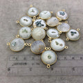 Gold Plated Faceted Natural White/Green Solar Quartz Round/Coin Shaped Bezel Connector - Measuring 18mm x 18mm - Sold Individually, RANDOM