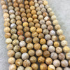 9mm Glossy Finish Natural Tan/Yellow Fossilized Coral Round/Ball Shaped Beads with 1mm Holes - Sold by 15.5" Strands (Approx. 47 Beads)