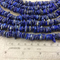 Glossy Finish Natural Lapis Lazuli Flat Nugget Beads with 1mm Holes - Sold by 15.5" Strand (Approx. 120 Beads) - Measuring 2-3mm x 8-12mm