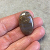 Single OOAK Natural Ocean Jasper Oblong Oval Shaped Flat Back Cabochon - Measuring 19mm x 31mm, 6mm Dome Height - Quality Gemstone