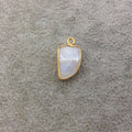 Gold Plated Natural Moonstone Faceted Tusk/Claw Shaped Copper Bezel Pendant - Measures 10mm x 16mm - Sold Individually, Randomly Chosen