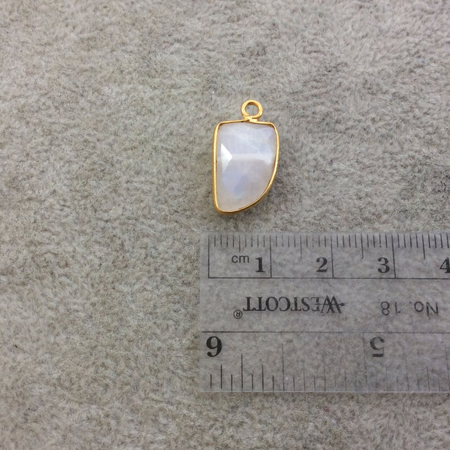 Gold Plated Natural Moonstone Faceted Tusk/Claw Shaped Copper Bezel Pendant - Measures 10mm x 16mm - Sold Individually, Randomly Chosen