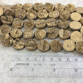 16mm Metallic Gold Premium Druzy Agate Flat Round/Coin Shaped Beads - 7.5" Strand (Approximately 12 Beads) - Natural Semi-Precious Gemstone