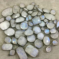 Gunmetal Plated Faceted Natural Iridescent Moonstone Round/Coin Shaped Bezel Connector - Measuring 12mm x 12mm - Sold Individually