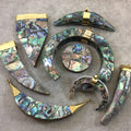 3.25" Iridescent Rainbow Pointed Round Tusk/Claw Shaped Natural Abalone Pendant with Gold Cap - Measuring 20mm x 86mm - (TR037-RA)
