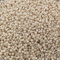 Size 11/0 Glossy Finish Dark Beige Ceylon Genuine Miyuki Glass Seed Beads - Sold by 23 Gram Tubes (Approx. 2500 Beads per Tube) - (11-9593)