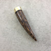 3.5" Brown/Black Natural Palm Wood Round Tusk/Claw Shaped Pendant with Gold Plated Cap - Measuring 20mm x 95mm, Approximately - (TR028-PW)
