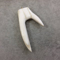 4.25" White/Ivory Long Flat Antler Tusk Shaped Natural Ox Bone Pendant with Gold Plated Ring - Measuring 58mm x 110mm